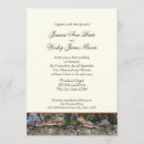 Zoek naar camouflage fotografie Wild