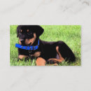 Zoek naar rottweiler visitekaartjes Dier