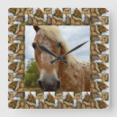 Zoek naar appaloosa klokken Voor iedereen