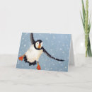 Zoek naar papegaaiduiker kaarten Natuur