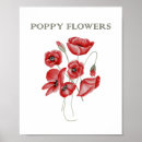 Zoek naar rode bloemen posters Wildbloemen