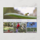 Zoek naar natuurfoto kaarten Fotografie