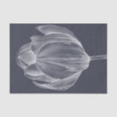 Zoek naar grafisch tissue papier Bloem