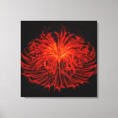 Zoek naar vuurwerk kunst Abstract