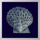 Zoek naar shell kunst Zeeschelpen