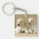 Zoek naar gouden labrador sleutelhangers Schattig