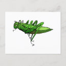 Zoek naar insect cartoon briefkaarten Dier