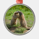 Zoek naar knaagdieren ornamenten Hond