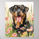 Zoek naar rottweilers posters Voor huisdieren