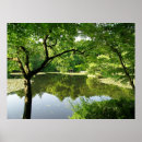 Zoek naar vijver posters Reflecties