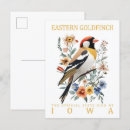 Zoek naar goudvink briefkaarten Waterverf