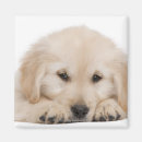 Zoek naar brussel magneten Natuur