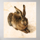 Zoek naar konijn kunst Albrecht durer