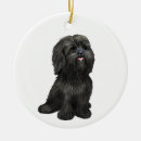 Zoek naar shih tzu ornamenten Schattig
