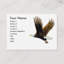 Zoek naar eagle visitekaartjes Wild