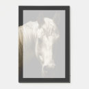 Zoek naar western fotografie Paarden