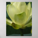 Zoek naar vijver posters Natuur