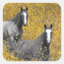 Zoek naar paard stickers Dier
