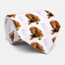 Zoek naar petten stropdassen Foto