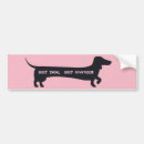 Zoek naar dog bumperstickers Grappig
