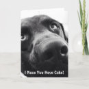 Zoek naar chocolade minnaar posters Hond