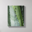 Zoek naar macro kunst Floreel