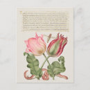 Zoek naar botanische illustratie briefkaarten Floreel