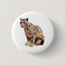 Zoek naar katten afbeeldingen buttons Foto