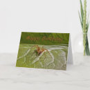 Zoek naar cynische kaarten Grappig