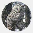 Zoek naar waakzaamheid stickers Wild