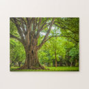 Zoek naar boomstam puzzels Landschap