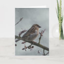 Zoek naar maas kaarten Vogel