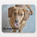 Zoek naar dog muismatten Foto