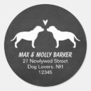 Zoek naar staffordshire bull terriers Vleiend