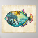 Zoek naar aquarium kunst Vis