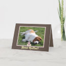 Zoek naar koffie nodig kaarten Schattig