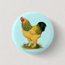 Zoek naar haan buttons Vogel