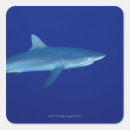 Zoek naar haaien stickers Underwater