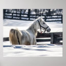 Zoek naar wintertijd posters Elk persoon