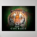 Zoek naar katten gezicht posters Voor haar