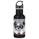 Zoek naar shih tzu waterflessen Puppy