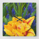 Zoek naar tulpen klokken Close up