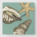 Zoek naar shell klokken Zeester