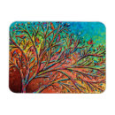 Zoek naar heldere regenboog magneten Natuur