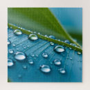 Zoek naar regendruppels puzzels Natuur