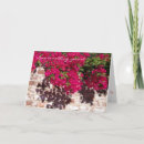 Zoek naar tuinmuur posters Romantisch