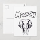 Zoek naar mammoet briefkaarten Olifant