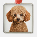 Zoek naar poedels kerstdecoratie Schattig