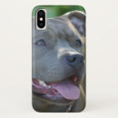 Zoek naar pitbulls iphone hoesjes Huisdier
