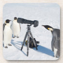 Zoek naar camera onderzetters Natuur